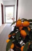 Туры в отель Embaixada da Vila Туры в отель Embaixada da Vila