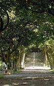 Туры в отель NH Collection Santiago de Compostela Туры в отель NH Collection Santiago de Compostela