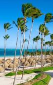 Туры в отель Secrets Royal Beach Punta Cana Туры в отель Secrets Royal Beach Punta Cana