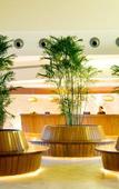 Туры в отель Secrets Royal Beach Punta Cana Туры в отель Secrets Royal Beach Punta Cana