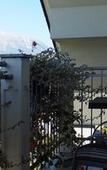 Туры в отель Penzion Kovac Туры в отель Penzion Kovac