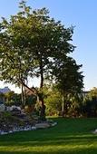 Туры в отель Pension Vila Mery Туры в отель Pension Vila Mery