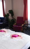 Туры в отель Pension Zlata Noha Туры в отель Pension Zlata Noha