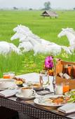Туры в отель Phusanfah Resort Туры в отель Phusanfah Resort