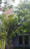 Туры в отель Baan I Un Pool Villa Туры в отель Baan I Un Pool Villa