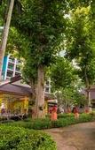 Туры в отель Chiangkhong Teak Garden Riverfront Onsen Hotel Туры в отель Chiangkhong Teak Garden Riverfront Onsen Hotel