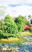Туры в отель Pung-waan Resort Kanchanaburi Туры в отель Pung-waan Resort Kanchanaburi