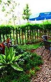 Туры в отель Kaew Samui Resort Туры в отель Kaew Samui Resort