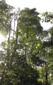Туры в отель Banpu Resort Trat Туры в отель Banpu Resort Trat