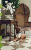 Туры в отель Club Tree Hotel Туры в отель Club Tree Hotel