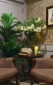 Туры в отель Club Tree Hotel Туры в отель Club Tree Hotel