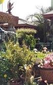 Туры в отель Subtawee Resort Туры в отель Subtawee Resort