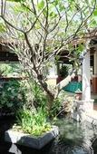 Туры в отель Lilawalai Resort Туры в отель Lilawalai Resort