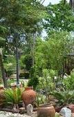 Туры в отель Rimpu Hill Resort Туры в отель Rimpu Hill Resort