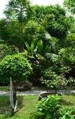 Туры в отель Rimpu Hill Resort Туры в отель Rimpu Hill Resort