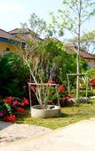 Туры в отель Rimpu Hill Resort Туры в отель Rimpu Hill Resort