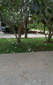 Туры в отель Albatross Guesthouse @ Thungwualaen Beach Туры в отель Albatross Guesthouse @ Thungwualaen Beach