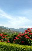 Туры в отель Doi Tung Lodge Туры в отель Doi Tung Lodge