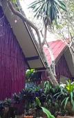 Туры в отель Suanphet Riverview Resort Туры в отель Suanphet Riverview Resort