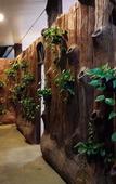 Туры в отель Suanphet Riverview Resort Туры в отель Suanphet Riverview Resort