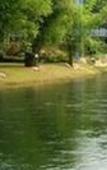 Туры в отель Suanphet Riverview Resort Туры в отель Suanphet Riverview Resort