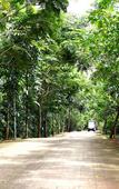 Туры в отель Phuwanalee Resort Туры в отель Phuwanalee Resort