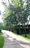 Туры в отель Phuwanalee Resort Туры в отель Phuwanalee Resort