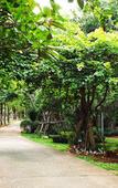 Туры в отель Phuwanalee Resort Туры в отель Phuwanalee Resort