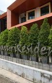Туры в отель Chivapuri Residence Trat Туры в отель Chivapuri Residence Trat