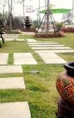Туры в отель Sierra View Resort Туры в отель Sierra View Resort