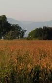 Туры в отель Sierra View Resort Туры в отель Sierra View Resort