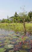 Туры в отель Sukhothai City Resort Туры в отель Sukhothai City Resort