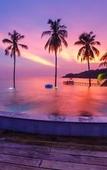 Туры в отель To The Sea The Resort Koh Kood Туры в отель To The Sea The Resort Koh Kood
