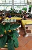 Туры в отель Rachavadee Bankrut Resort Туры в отель Rachavadee Bankrut Resort