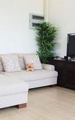 Туры в отель Blue Sky Villa Khaoyai Resort Туры в отель Blue Sky Villa Khaoyai Resort
