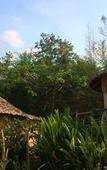 Туры в отель Mari Pai Resort Туры в отель Mari Pai Resort