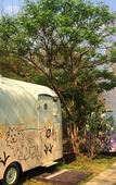 Туры в отель Mari Pai Resort Туры в отель Mari Pai Resort