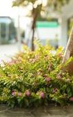 Туры в отель Chonlada Place Туры в отель Chonlada Place