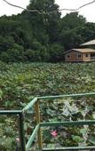 Туры в отель Sam's House Guesthouse Туры в отель Sam's House Guesthouse