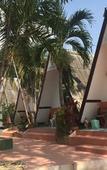 Туры в отель Sam's House Guesthouse Туры в отель Sam's House Guesthouse