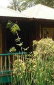 Туры в отель Sam's House Guesthouse Туры в отель Sam's House Guesthouse