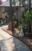 Туры в отель Sam's House Guesthouse Туры в отель Sam's House Guesthouse