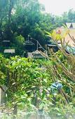 Туры в отель Sam's House Guesthouse Туры в отель Sam's House Guesthouse