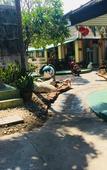 Туры в отель Sam's House Guesthouse Туры в отель Sam's House Guesthouse