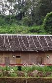 Туры в отель Mong Homestay Resort Туры в отель Mong Homestay Resort