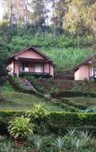 Туры в отель Mong Homestay Resort Туры в отель Mong Homestay Resort