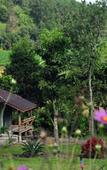 Туры в отель Mong Homestay Resort Туры в отель Mong Homestay Resort