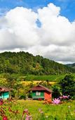 Туры в отель Mong Homestay Resort Туры в отель Mong Homestay Resort