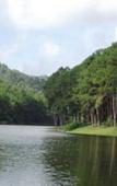 Туры в отель Mong Homestay Resort Туры в отель Mong Homestay Resort