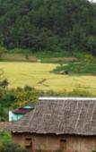 Туры в отель Mong Homestay Resort Туры в отель Mong Homestay Resort